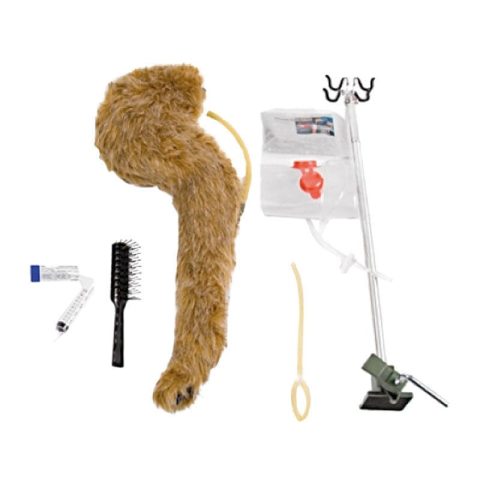 Intraveneuze Injectietrainer Hond