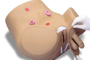 Katheterisatie- en Stoma Trainingsmodel (Man en Vrouw)