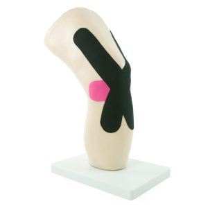 Knie Tapen Oefenmodel