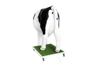 Kunstmatige Inseminatie Simulator Koe