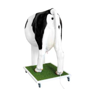 Kunstmatige Inseminatie Simulator Koe