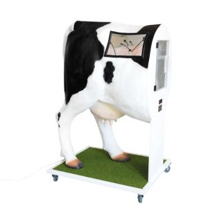 Kunstmatige Inseminatie Simulator Koe