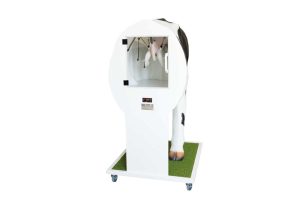 Kunstmatige Inseminatie Simulator Koe