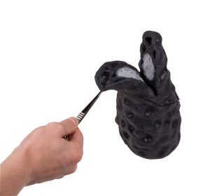 Longkanker Model