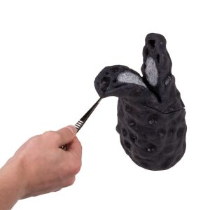 Longkanker Model