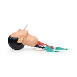 Airway Management Trainingsmodel