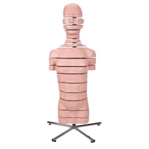 MRI Torso Model, 15 schijven