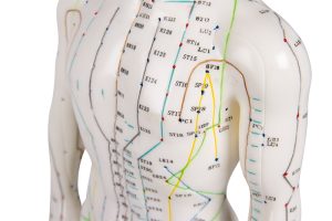 Acupunctuur Model Man, 50 cm