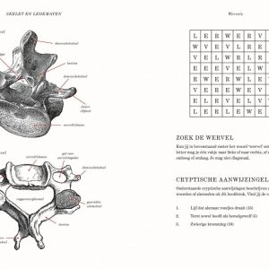 Menselijk Lichaam Puzzelboek