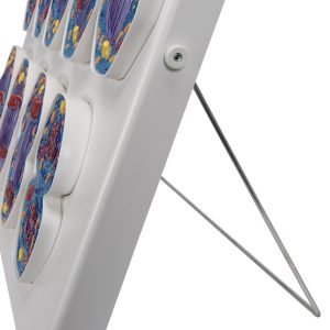 Mitose model