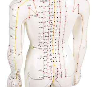 Acupunctuur Model Vrouw, 50 cm