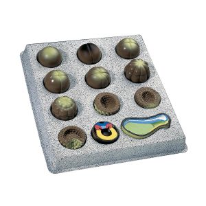 Model Embryo Ontwikkeling van de Bruin Kikker (12 stadia)