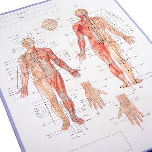 Acupunctuur-Meridianen Notitieblok