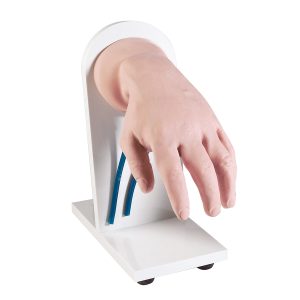 Oefenmodel Intraveneuze Injectie Hand