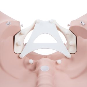 Bevallingfases Simulatie Trainer