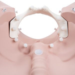 Bevallingfases Simulatie Trainer