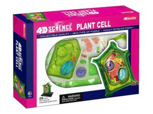 4D Science Plantencel Model
