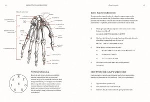 Menselijk Lichaam Puzzelboek