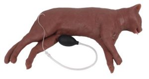 Reanimatie Trainer Kat