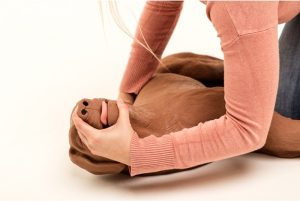 Reanimatie Trainer Hond