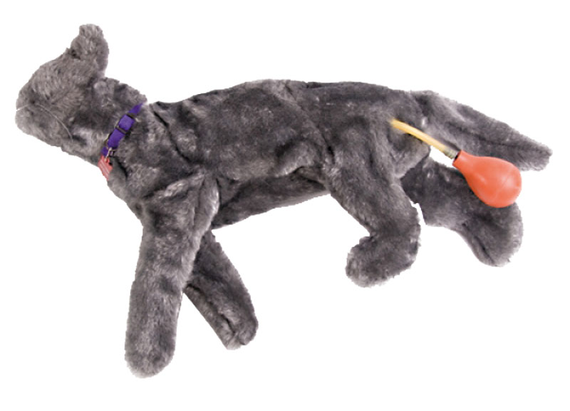 Reanimatie Trainer Kat Fluffy
