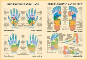 Reflexzones Poster A2 Hand en Voet Nederlands