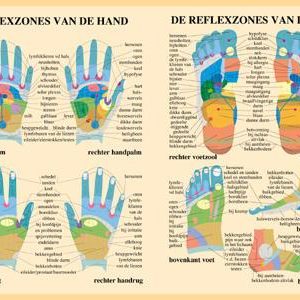 Reflexzones Poster A2 Hand en Voet Nederlands