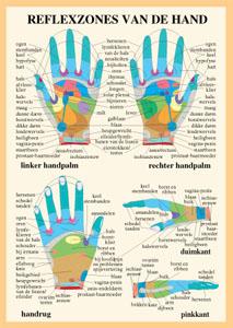 Reflexzones Hand A4 Kaart Nederlands