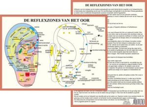 Reflexzones Oor A4 Kaart Nederlands