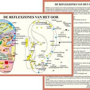 Reflexzones Oor A4 Kaart Nederlands
