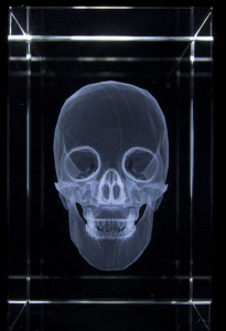 Anatomie Glasblok Schedel