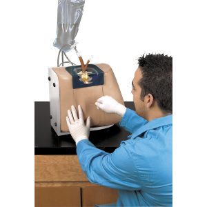 Simulatiemodel Injectie Wervelkolom