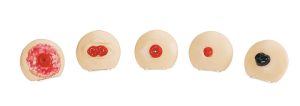 Stomazorg Trainingsmodellen Set (5 stuks)