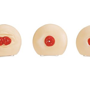 Stomazorg Trainingsmodellen Set (5 stuks)