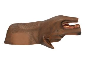 Tracheostomie Model Hond