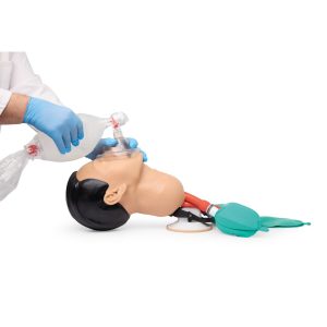 Airway Management Trainingsmodel