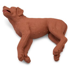 Dieren