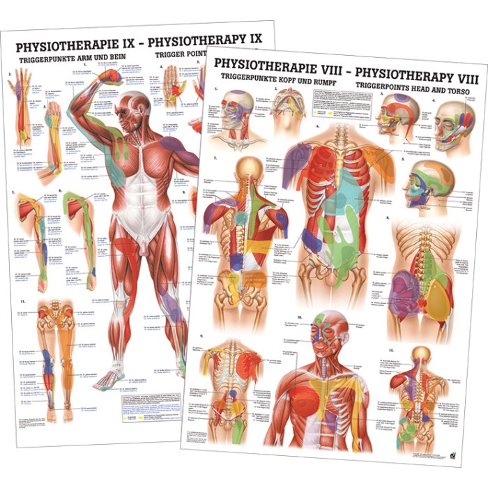 Triggerpoint Poster Set Gelamineerd