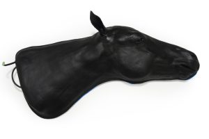 Vaardigheidstrainer Paard