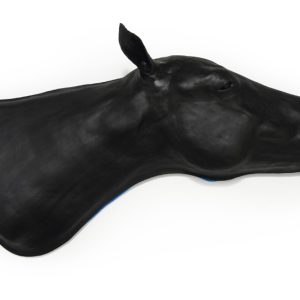 Vaardigheidstrainer Paard