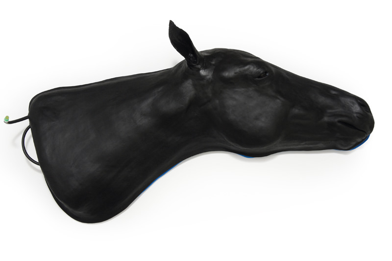 Vaardigheidstrainer Paard