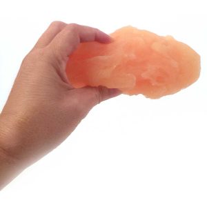 Anatomisch Model Vet (450 gram)
