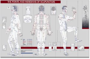 Points & Meridians of Acupuncture, wandplaat