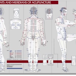 Points & Meridians of Acupuncture, wandplaat
