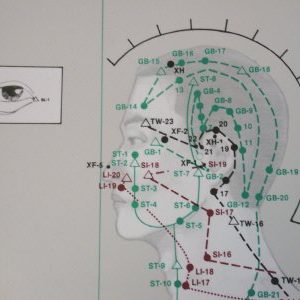 Points & Meridians of Acupuncture, wandplaat