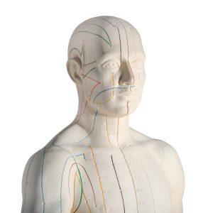Acupunctuur Man deluxe