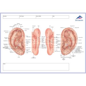 Acupunctuur-Meridianen Notitieblok