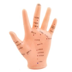 Acupunctuur Model Hand