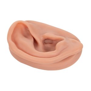 Acupunctuurmodel Oor