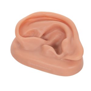 Acupunctuurmodel Oor
